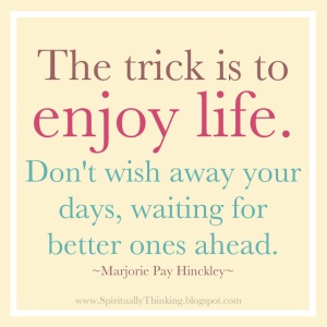 the-trick-is-to-enjoy-the-life-quotein-cute-design-for-you-amusing-quotes-about-enjoying-life